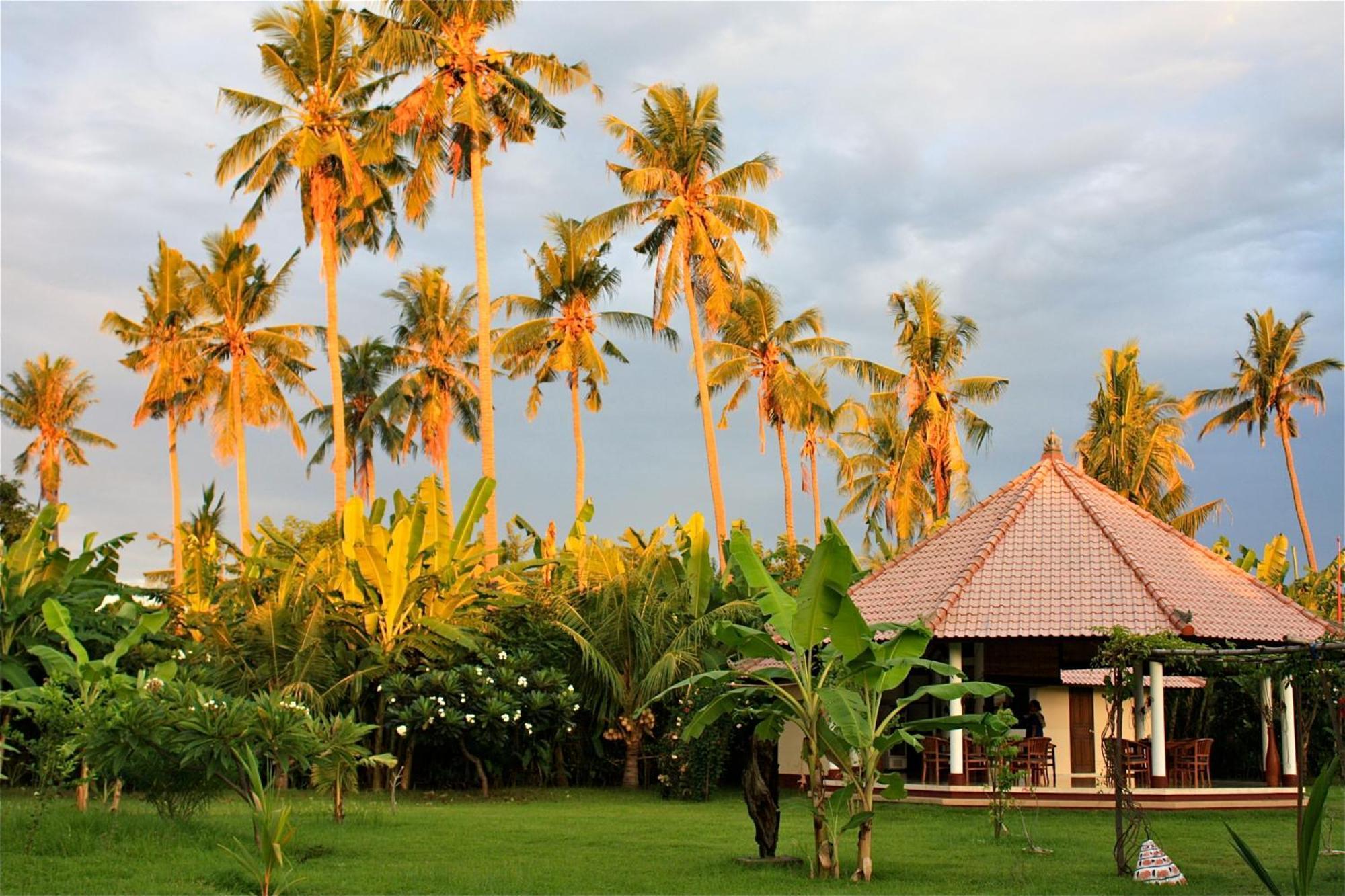 Bali Oase Resort Pemuteran  Exterior photo